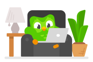duolingo & onlyy.one